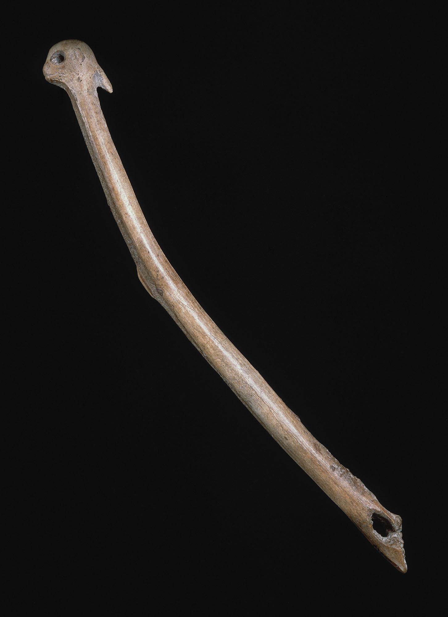 Propulseur sculpté d’une tête anthropomorphe Propulseur sculpté d’une tête anthropomorphe