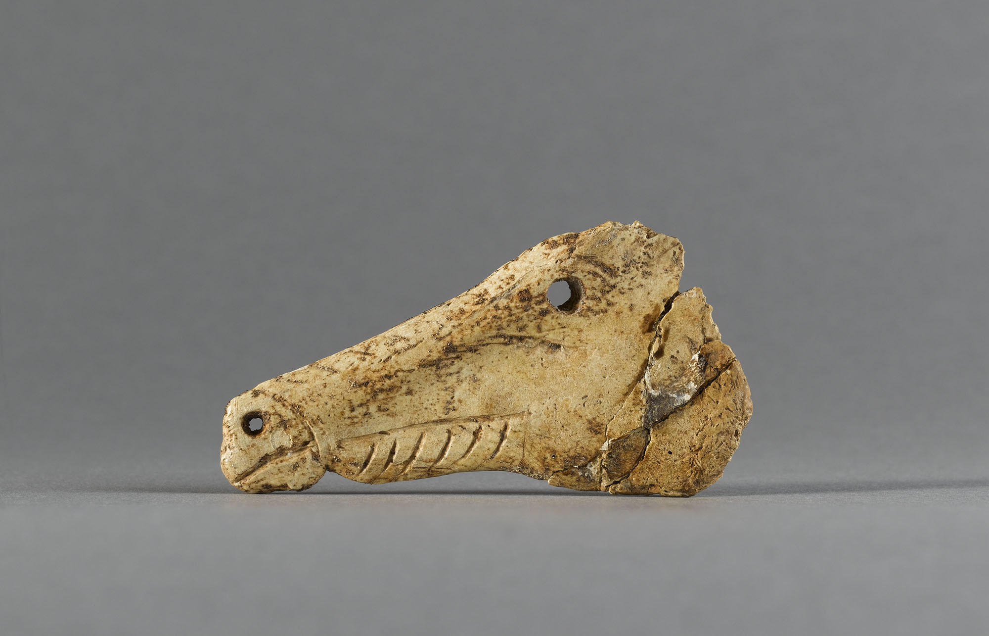 Contour découpé en forme de tête de cheval Contour découpé en forme de tête de cheval