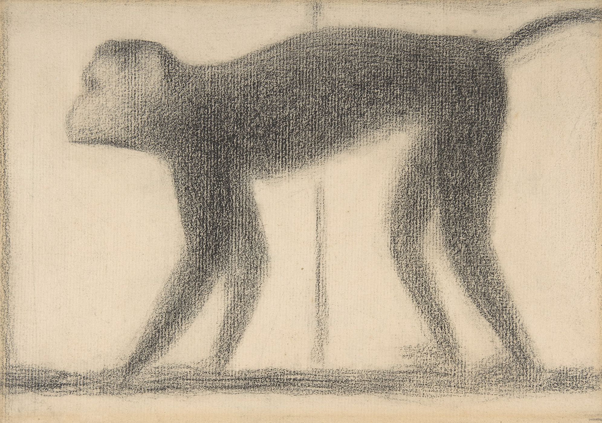Singe Singe