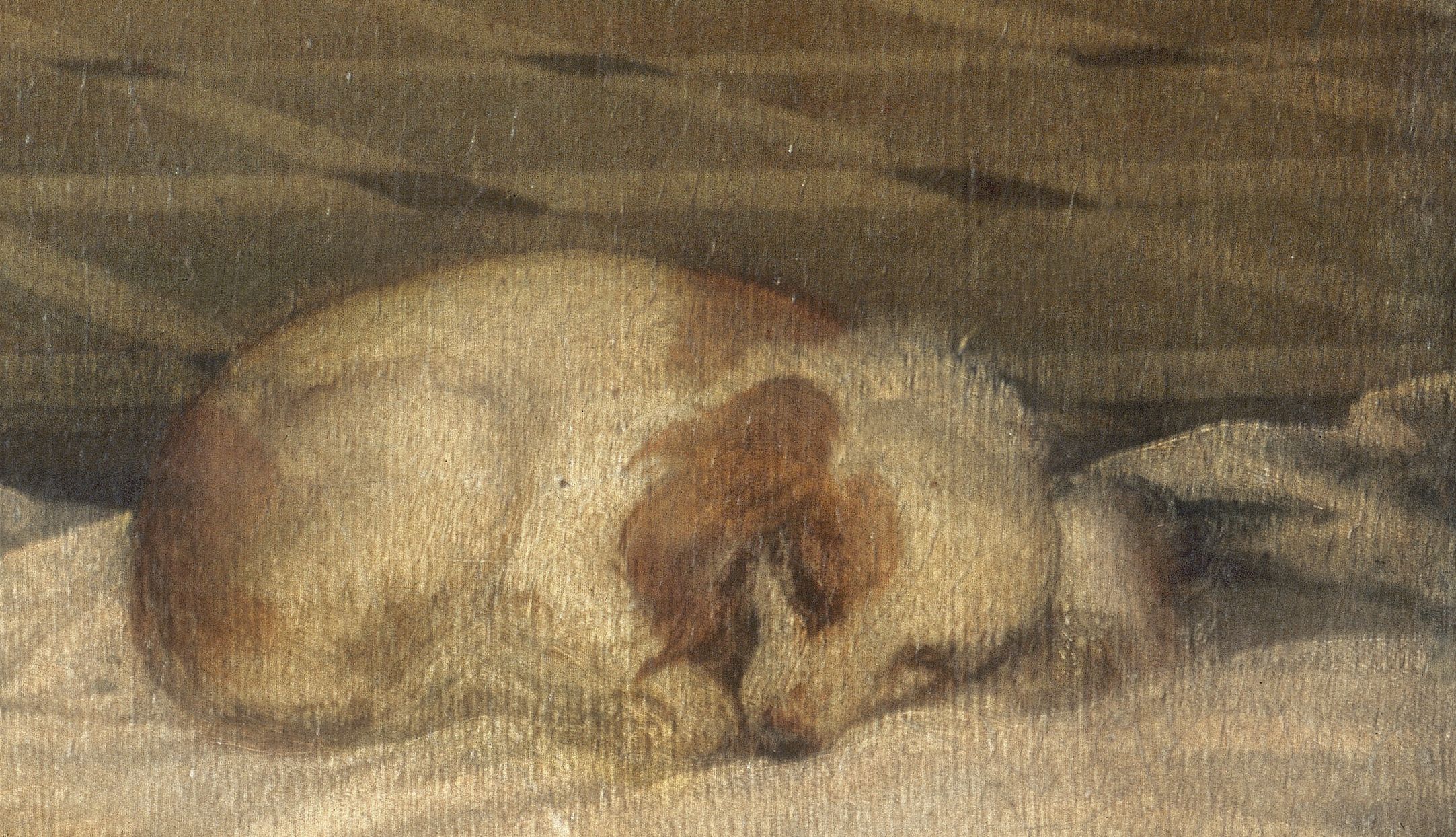 Vénus d’Urbin Vénus d’Urbin
