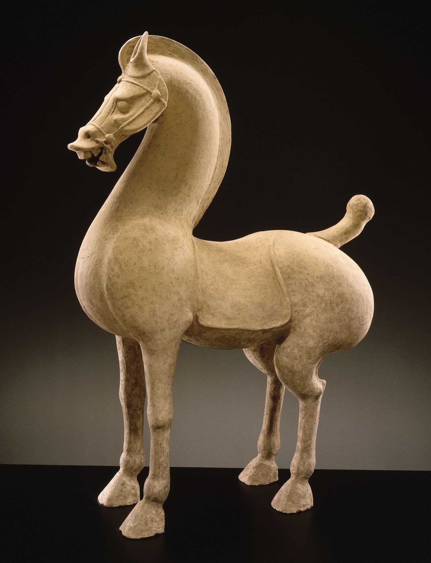 Cheval debout Cheval debout