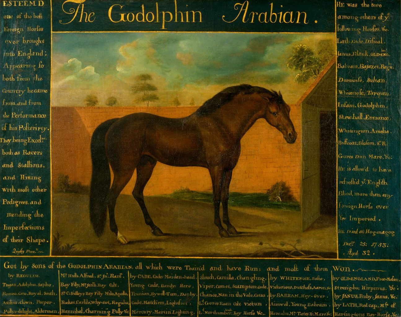 Godolphin Arabian Godolphin Arabian
