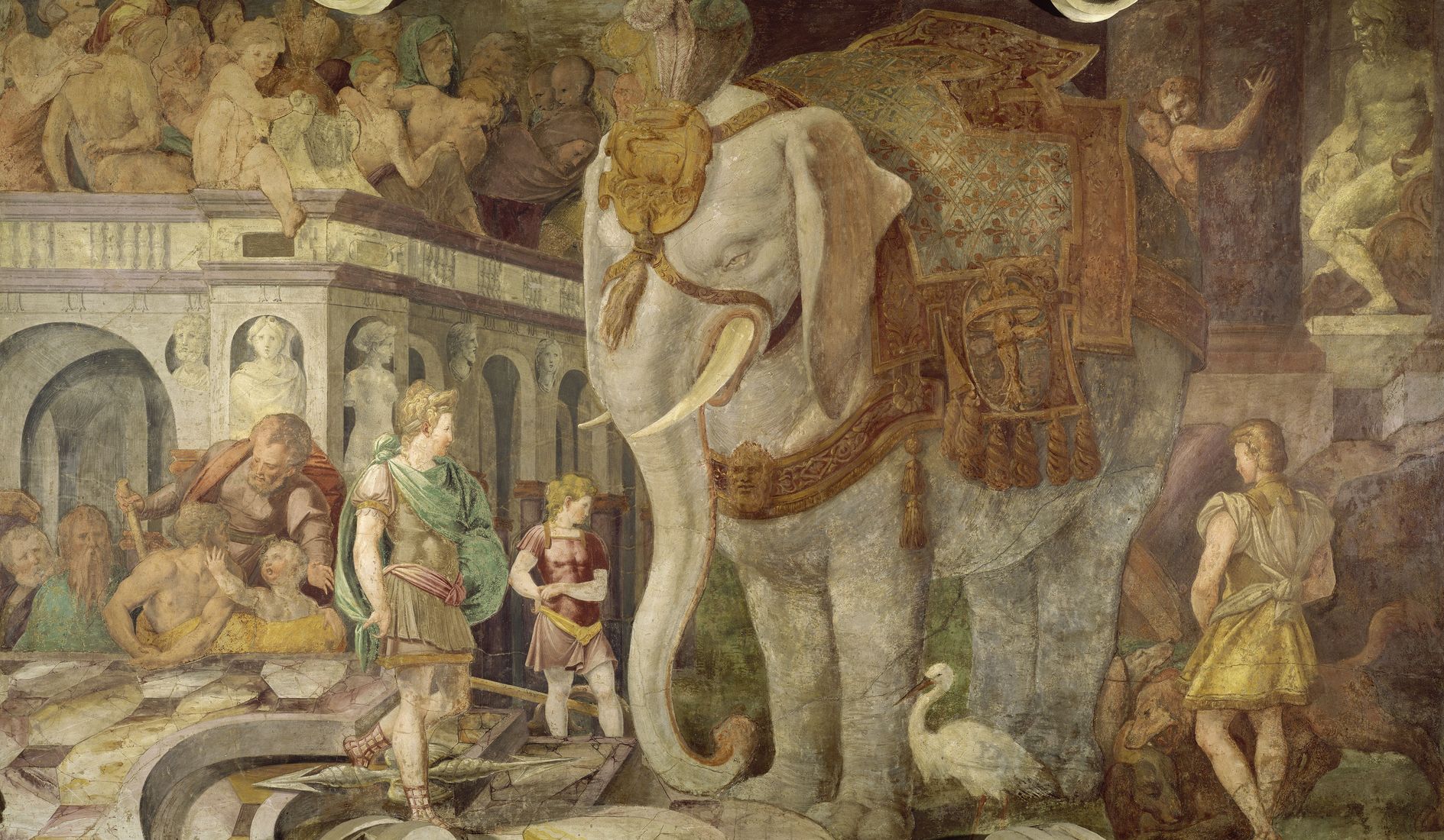 L'éléphant royal L'éléphant royal