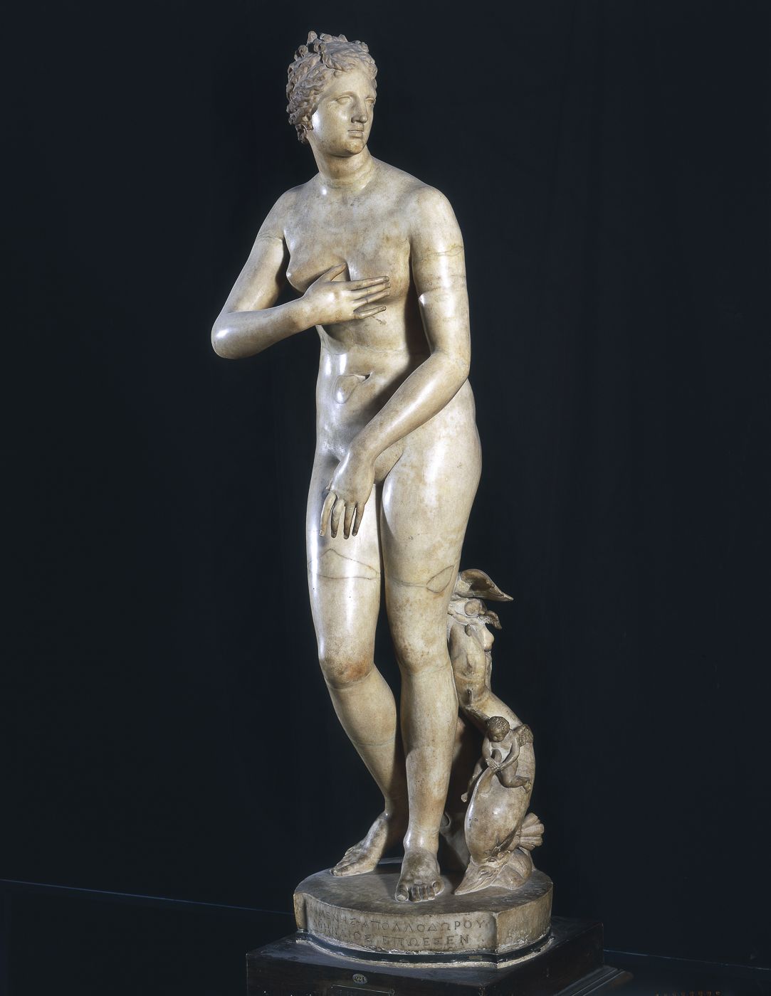Vénus Médicis Vénus Médicis