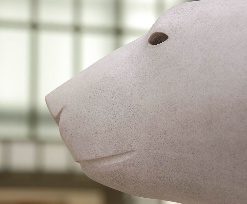 Ours blanc Ours blanc