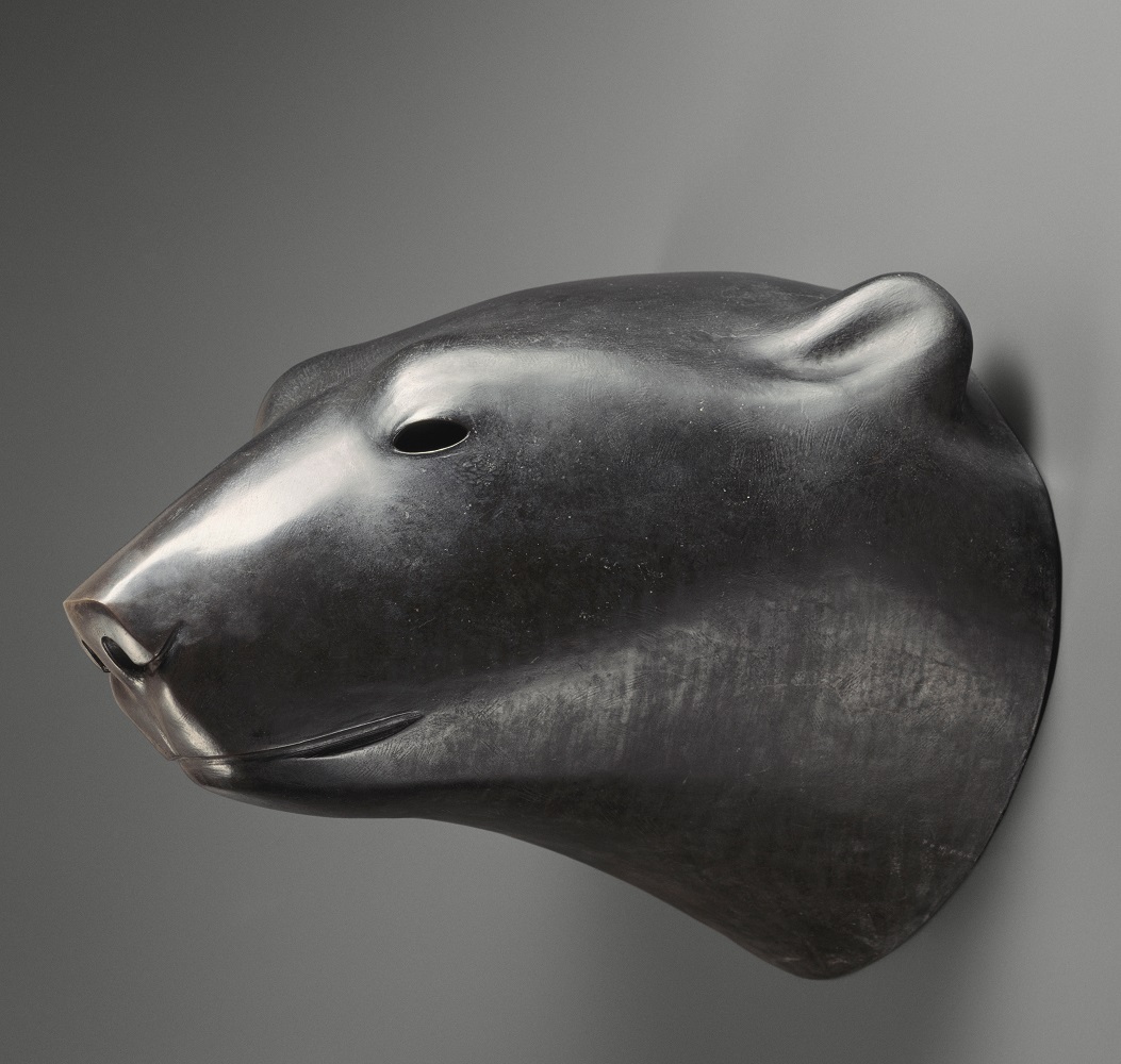 Tête d'ours blanc Tête d'ours blanc