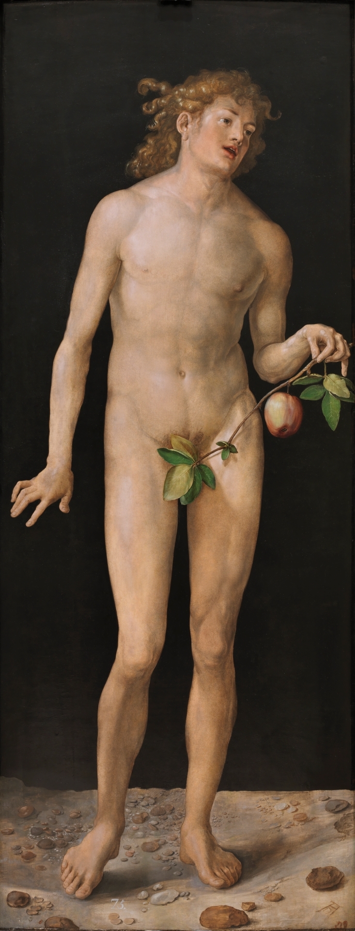 Adam Adam