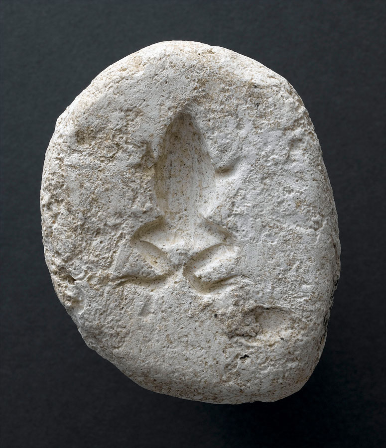 Moule en creux d'une grenouille Moule en creux d'une grenouille